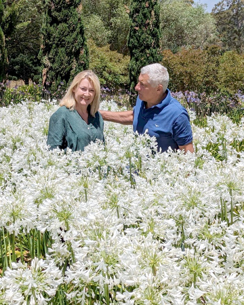 Open Days at Littlewood Farm