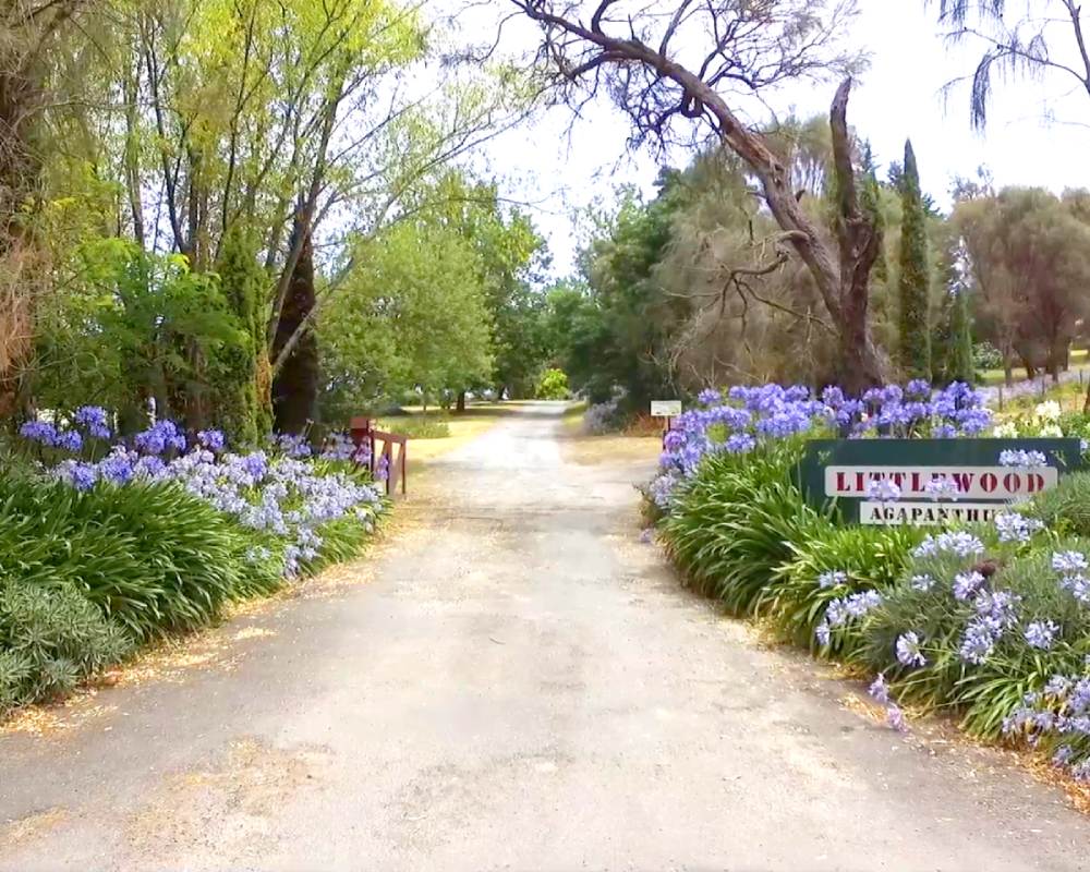 Welcome to Littlewood Farm from the driveway