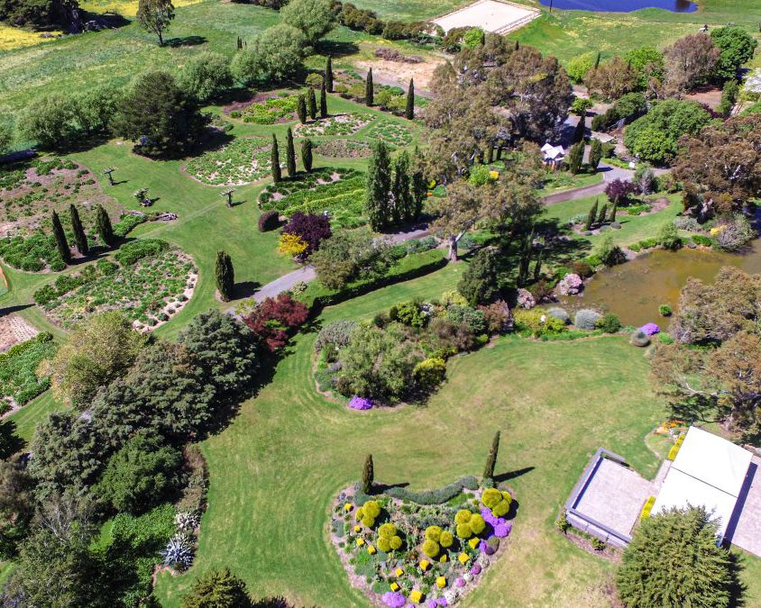 Overhead shot of Littlewood Agapanthus Farm in the Adelaide Hills