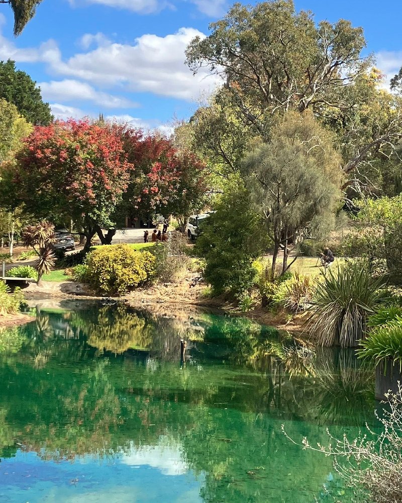 Stunning weddings in the garden at Littlewood Farm
